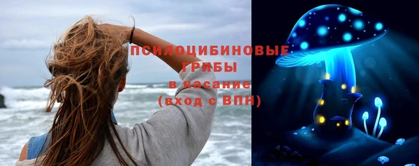 трава Бугульма