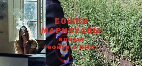 бошки Верея