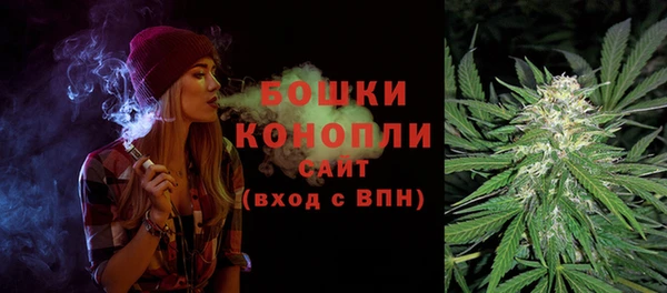 мет Бородино