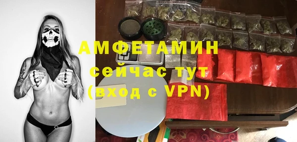 мдпв Бронницы