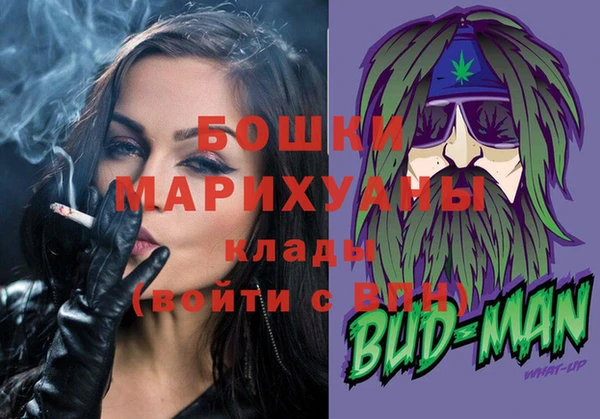 мдпв Бронницы