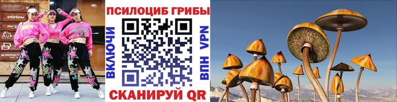 купить закладку  Жиздра  Псилоцибиновые грибы Magic Shrooms 